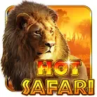 Hot Safari game thumbnail